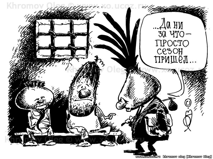 Посадили губернатора Сахалинской области Александра Хорошавина | карикатура посадка рассады огурцы лук свекла